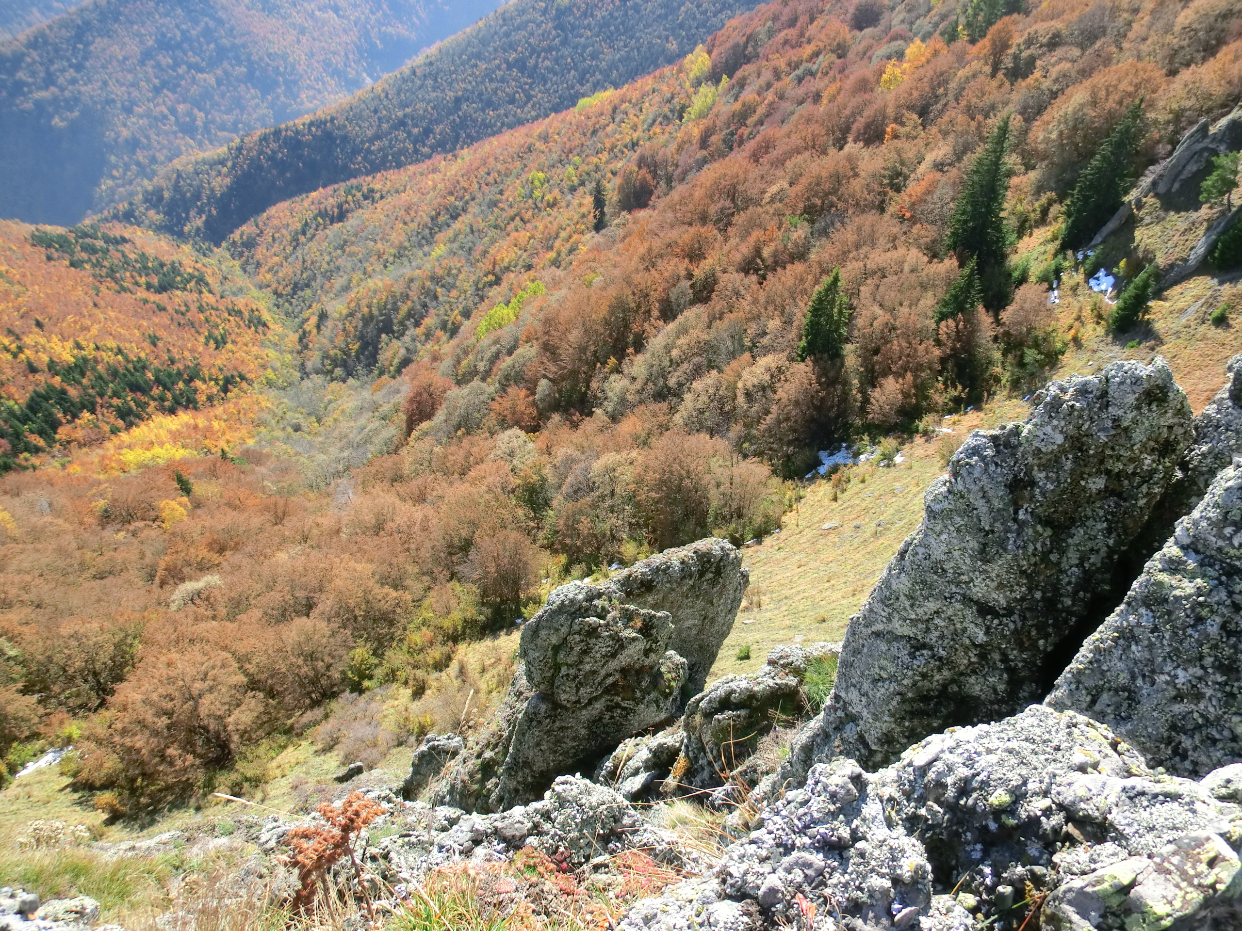 52 - 12.10.2013 -  Turnurile Cozei - Tură Muntele Coza