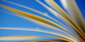 Cum este corect – clujan