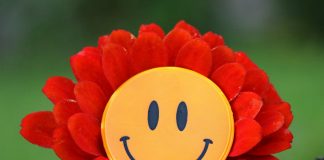 SMS-uri amuzante si mesaje text haioase SMS funny