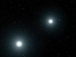 White dwarfs