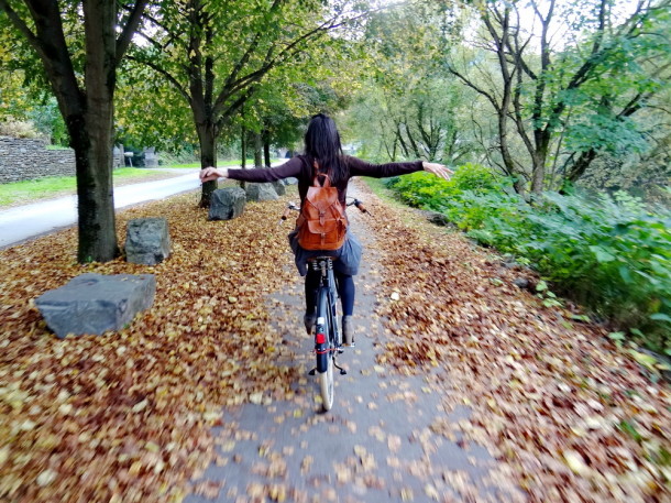 Belgia, cu bicicleta (8)