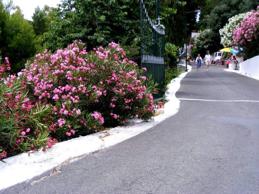 corfu 607
