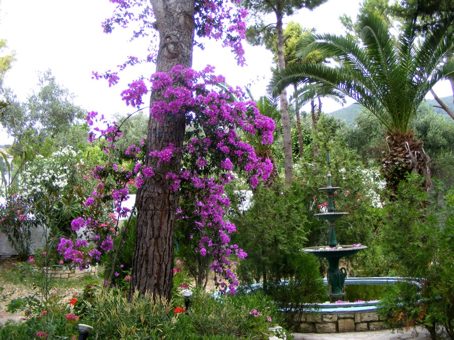 corfu 674