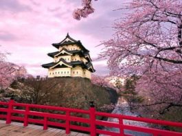 Japonia