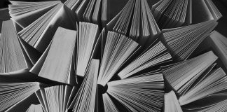 Neologismele shaker, shocking, shoddy, shopping, shortening – sunt sau nu utile