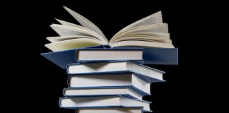 Originea cuvântului mitocan