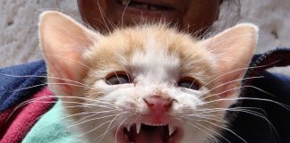 Sensul expresiei, Eşti patetic