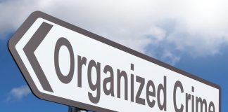 Crima Organizata