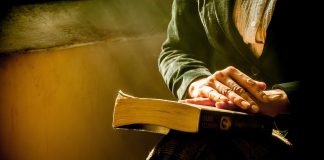 Este corectă structura sectă religioasă