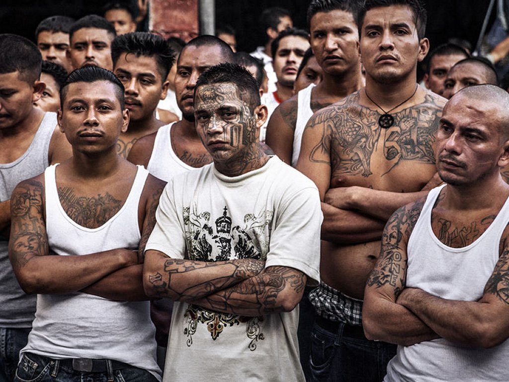 Mara Salvatrucha (MS-13)