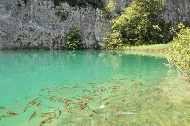 Plitvice (11)