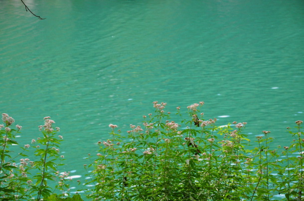 Plitvice (16)