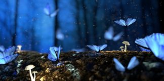 Ce înseamnă abracadabra