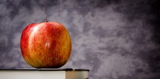 Cum este corect – prooroc sau proroc