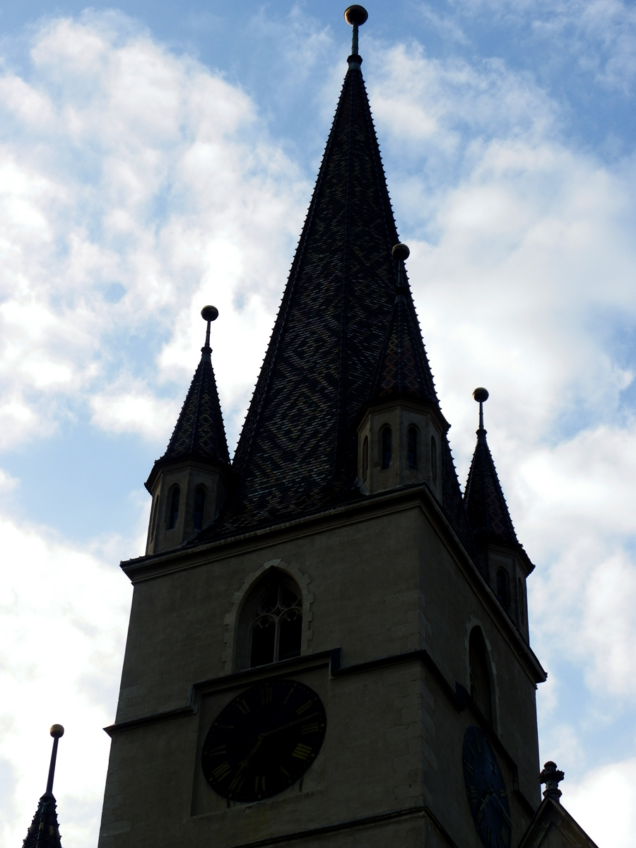 IMGP3205