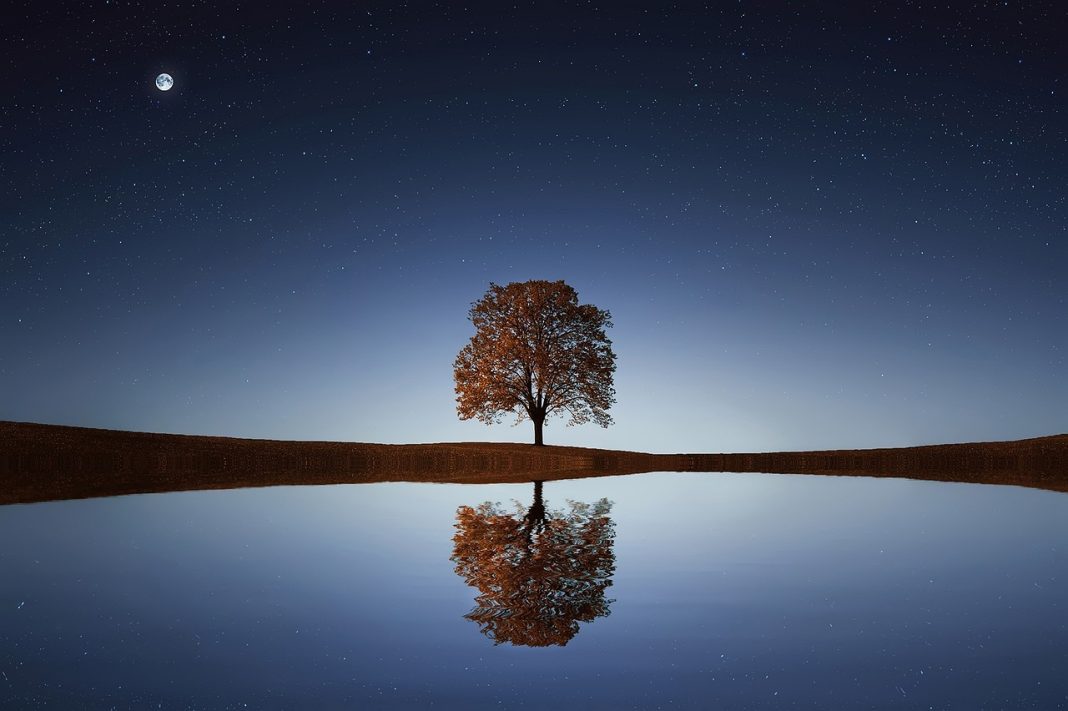 Cum este corect – reflexie sau reflecţie