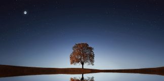 Cum este corect – reflexie sau reflecţie?