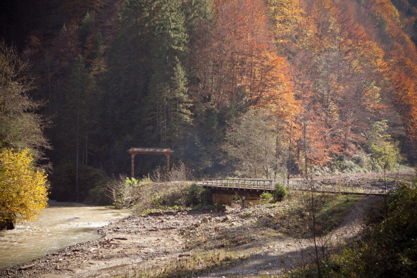 Mocanita, Valea Vaserului (13)
