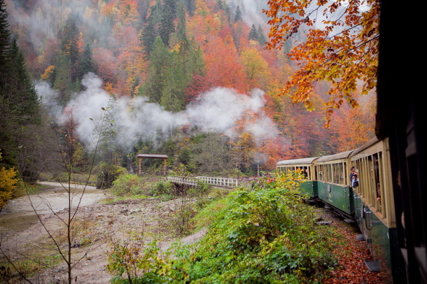 Mocanita, Valea Vaserului (4)