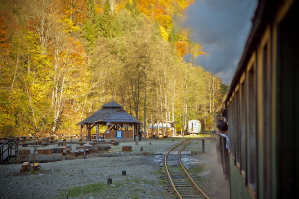 Mocanita, Valea Vaserului (8)