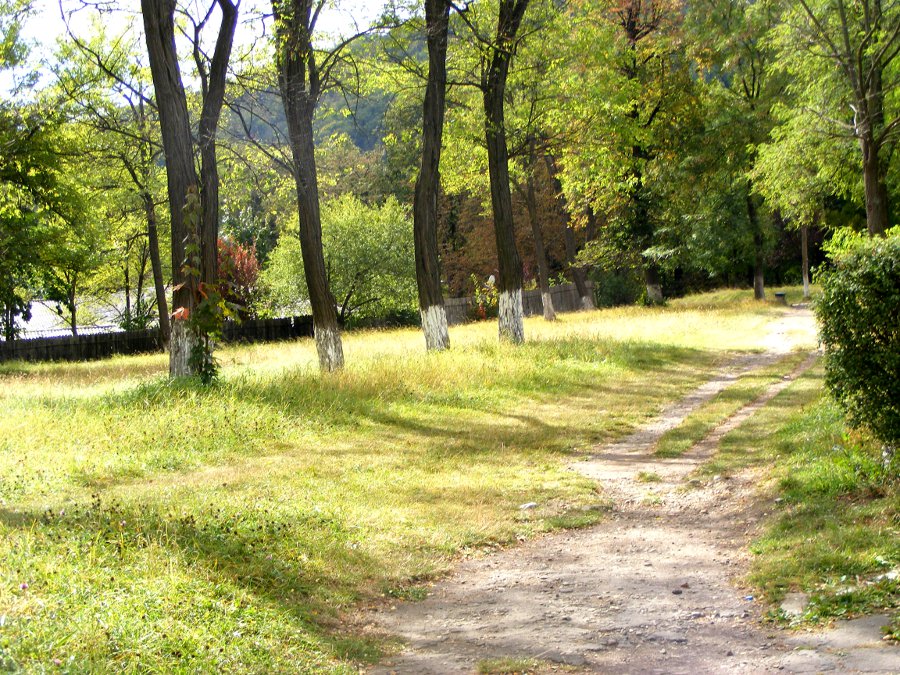 alee in parc ghika comanesti