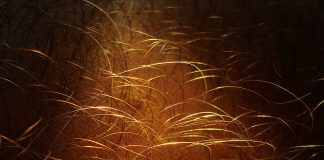 de ce avem păr pe corp