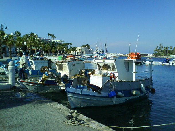 DSC03297