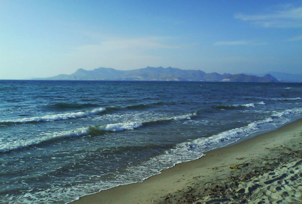 DSC03308
