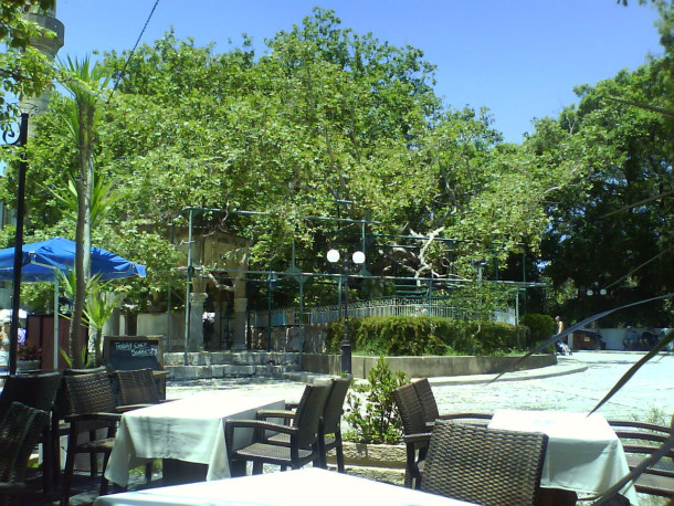 DSC03327