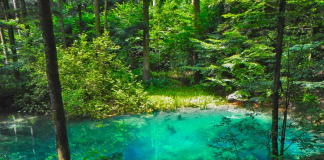 locuri romantice Romania