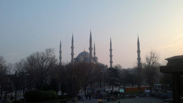 P10238982