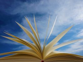 Cum este corect – literar sau literal