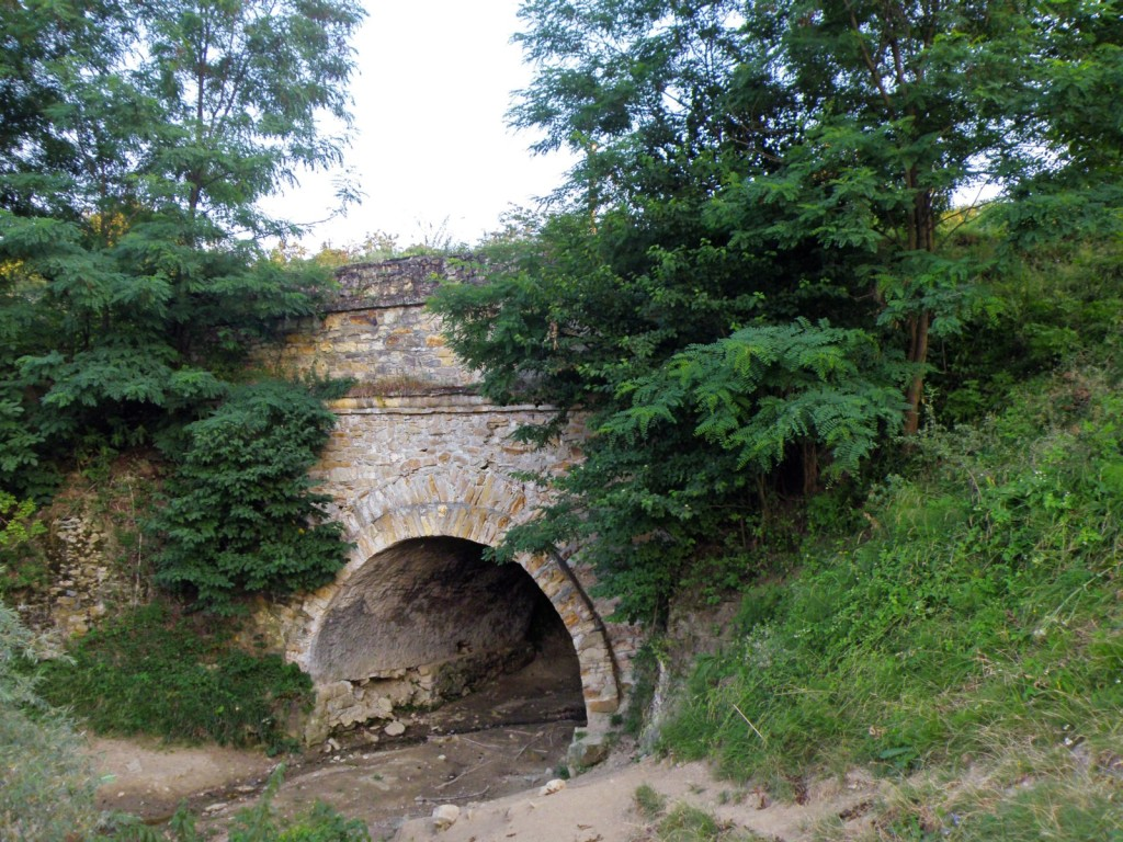 Satul Borzești
