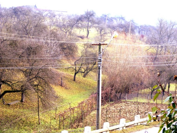 casa lui ion