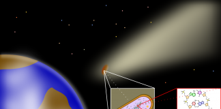 Panspermia – Teoria apariției vieții în univers ce ar putea duce la dispariția religiei Panspermia