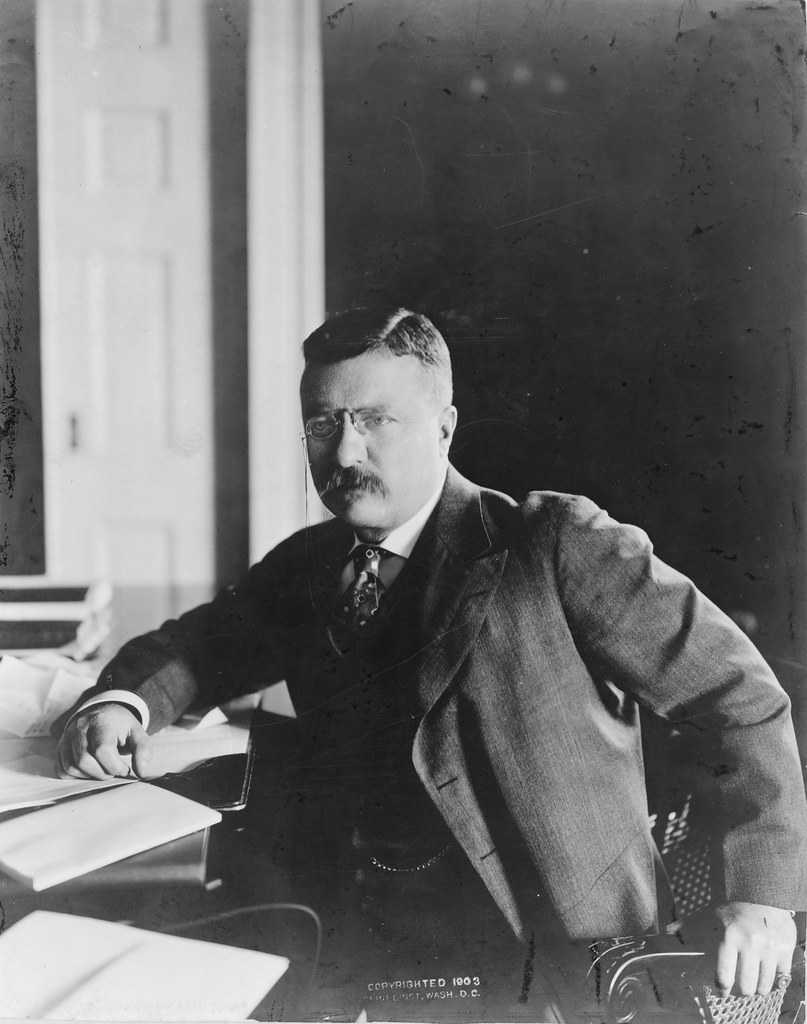 Theodore Roosevelt11
