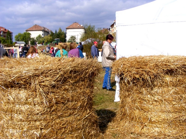 petrecere cu oameni miercurea ciuc