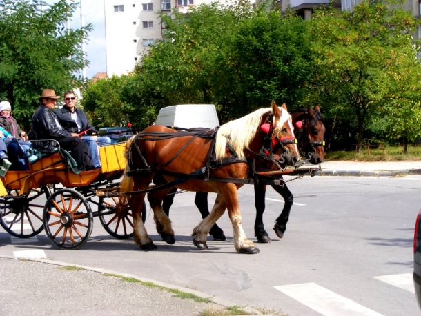 trasura prin miercurea ciuc