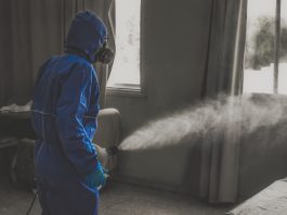 Cum este corect – dezinsecţie sau dezinfecţie
