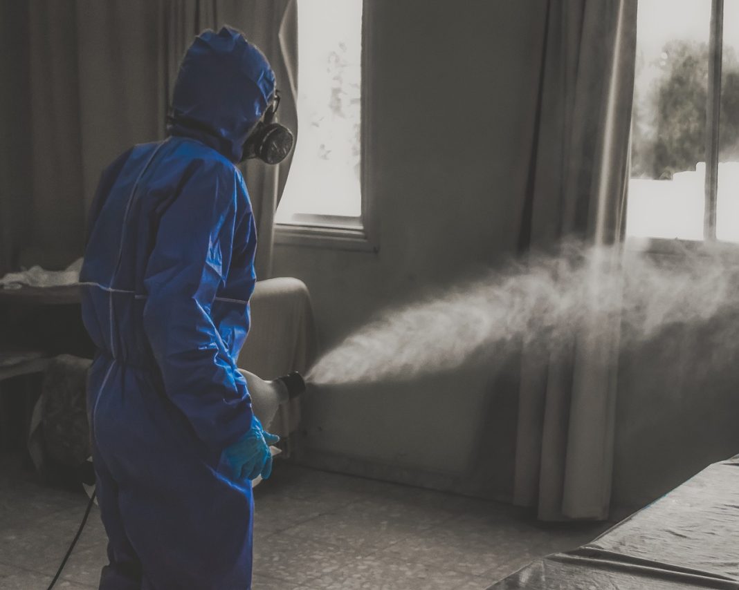 Cum este corect – dezinsecţie sau dezinfecţie Cum este corect – dezinsecţie sau dezinfecţie