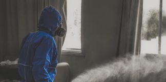 Cum este corect – dezinsecţie sau dezinfecţie? Cum este corect – dezinsecţie sau dezinfecţie