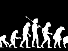 Darwin evolution