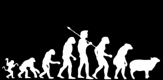 Un „mister” perpetuu: prostia omenească. Premiile Darwin în 2014 Darwin evolution