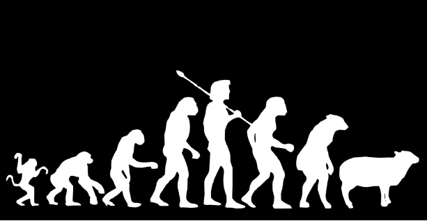 Darwin evolution Darwin evolution