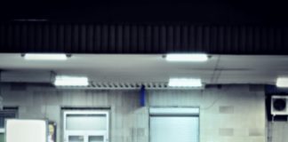 Experimentul animaţia suspendată – cum vor fi salvaţi răniţii grav în viitor? Experimentul animaţia suspendată