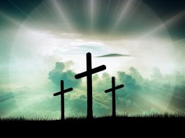 Semnificaţia şi originea cuvântului denie