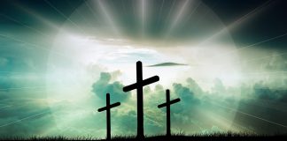 Semnificaţia şi originea cuvântului denie Semnificaţia şi originea cuvântului denie