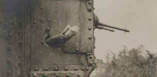 Porumbelul erou și maimuța ucigașă, animale care au schimbat istoria War Pigeon