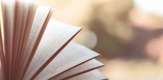 Ce înseamnă şi care este originea expresiei Vanitas vanitatum et omnia vanitas