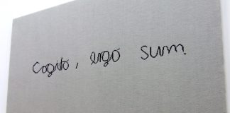 Ce înseamnă şi care este originea expresiei Cogito, ergo sum